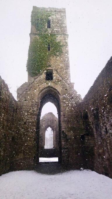 Riverside Cabin Limerick Junction Extérieur photo