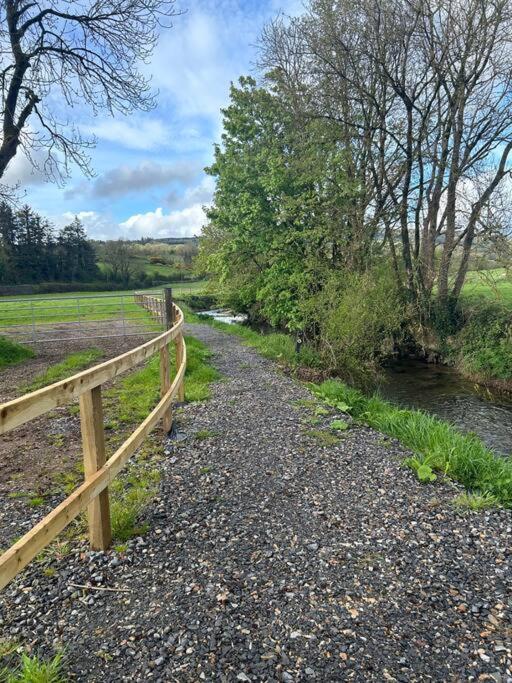 Riverside Cabin Limerick Junction Extérieur photo