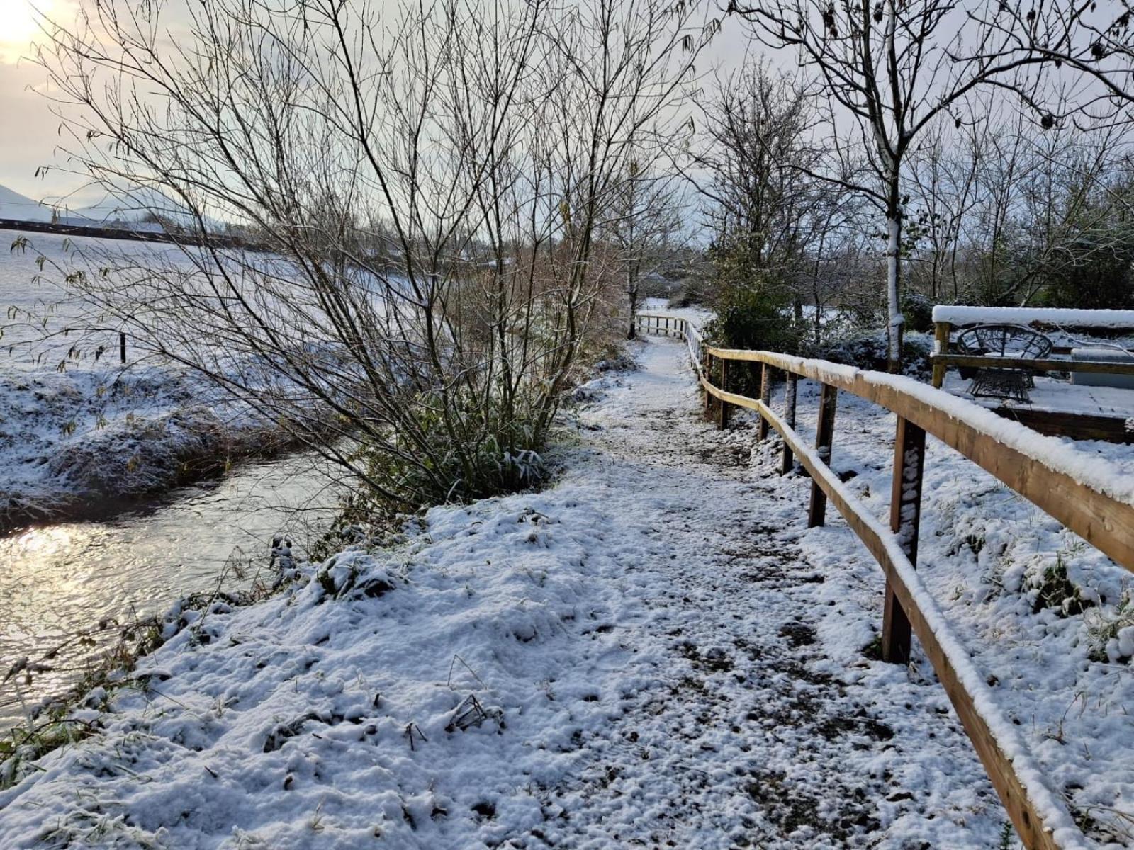 Riverside Cabin Limerick Junction Extérieur photo